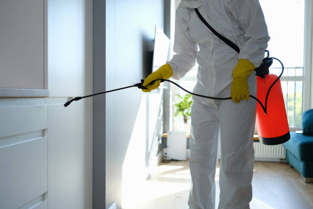 Best Mold Remediation for Specific Building Types in Titusville, FL